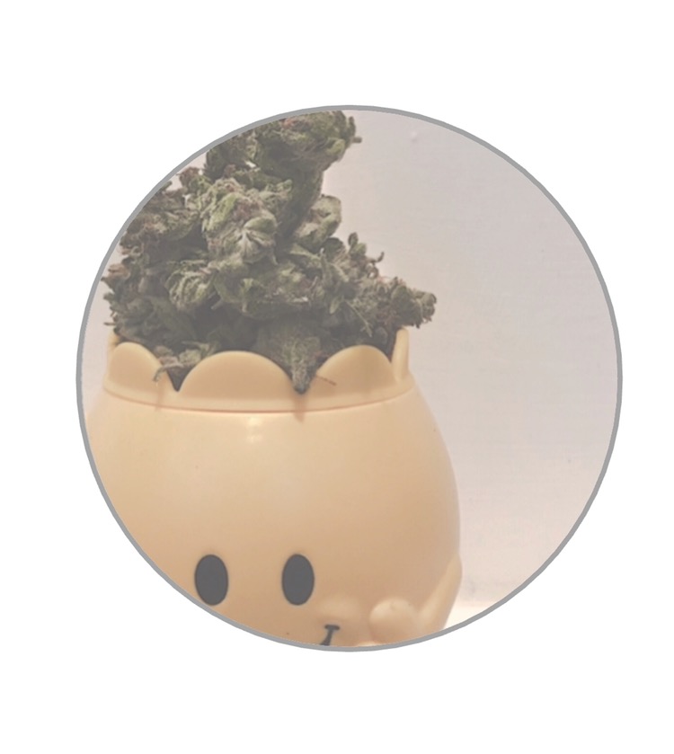 Cannabis buds in a yellow Mr Happy tub