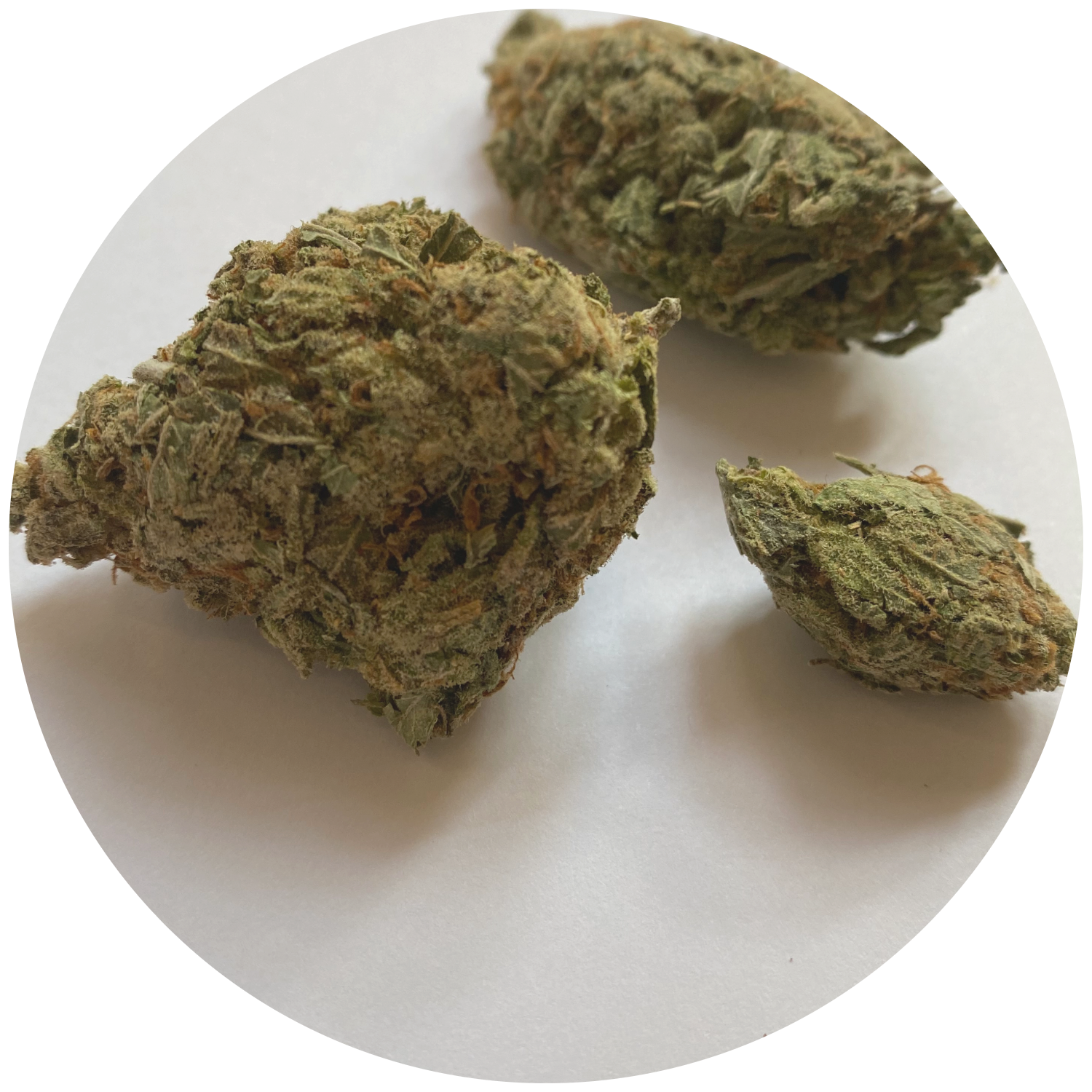 CBD Cannabis Flower