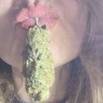 Cannabis lips