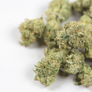 Prescription Cannabis Flower For Medicinal Purposes