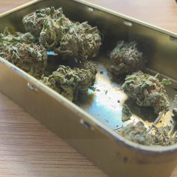 Tin of Cannabis Buds