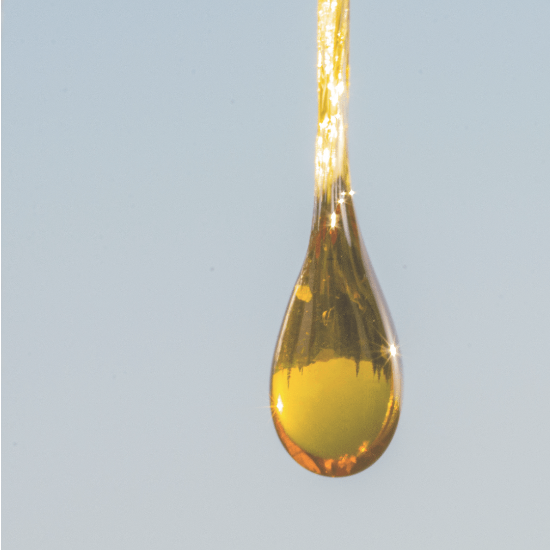 CBD Oil Drop