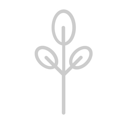 Susieshemp CBD Logo Grey Evergreen Plant Buds