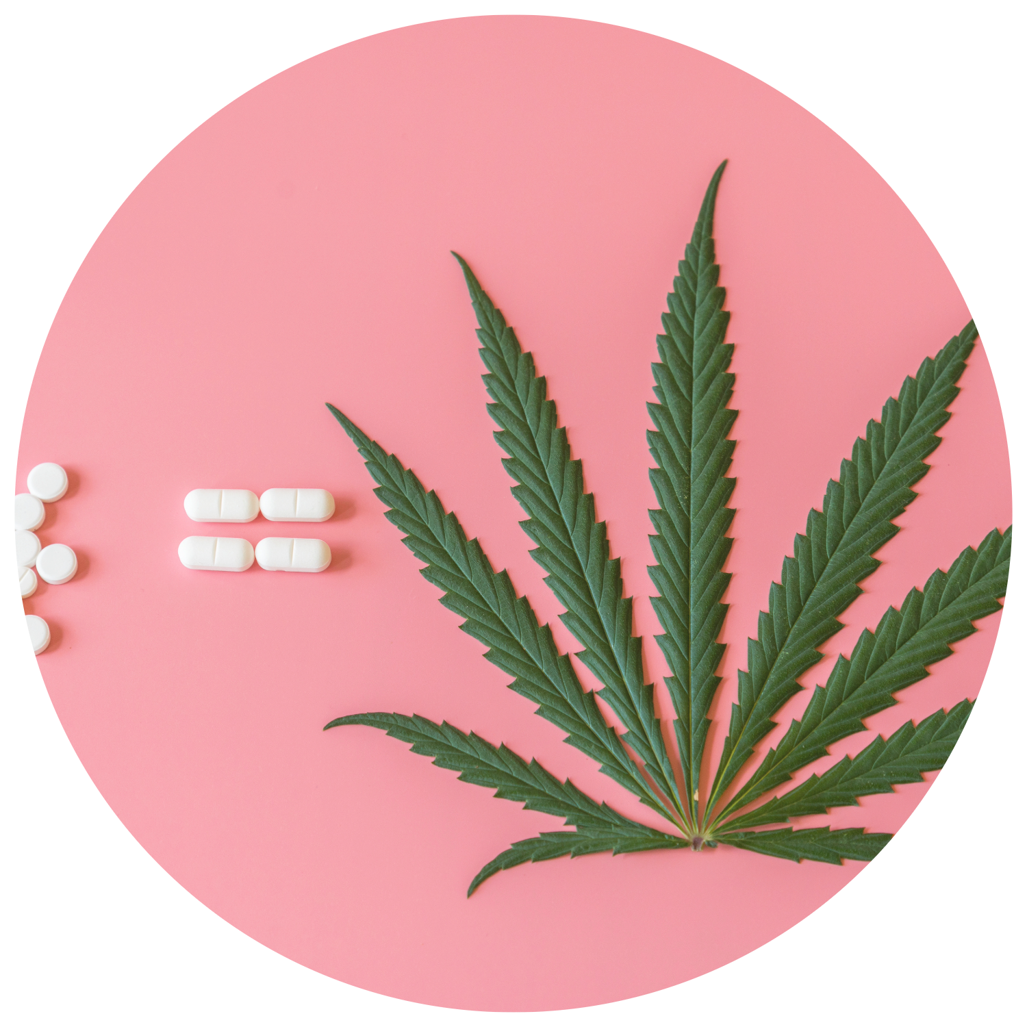 Hemp Leaf With Supplements Pink Background